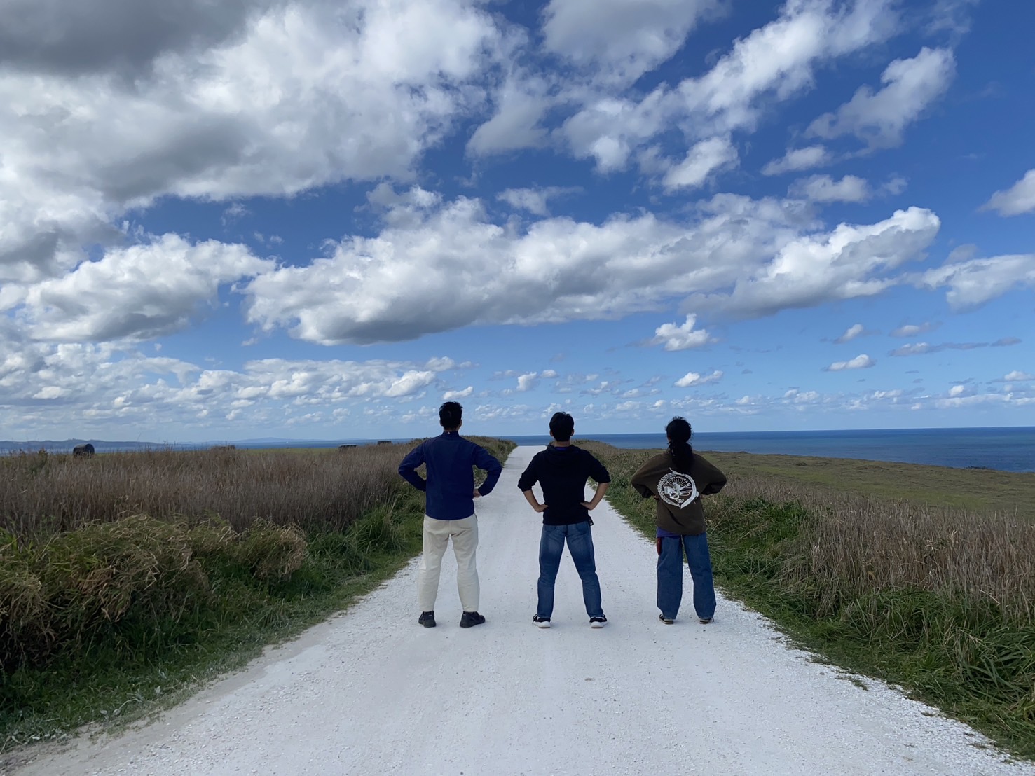 ボーイスカウト奈良第２０団